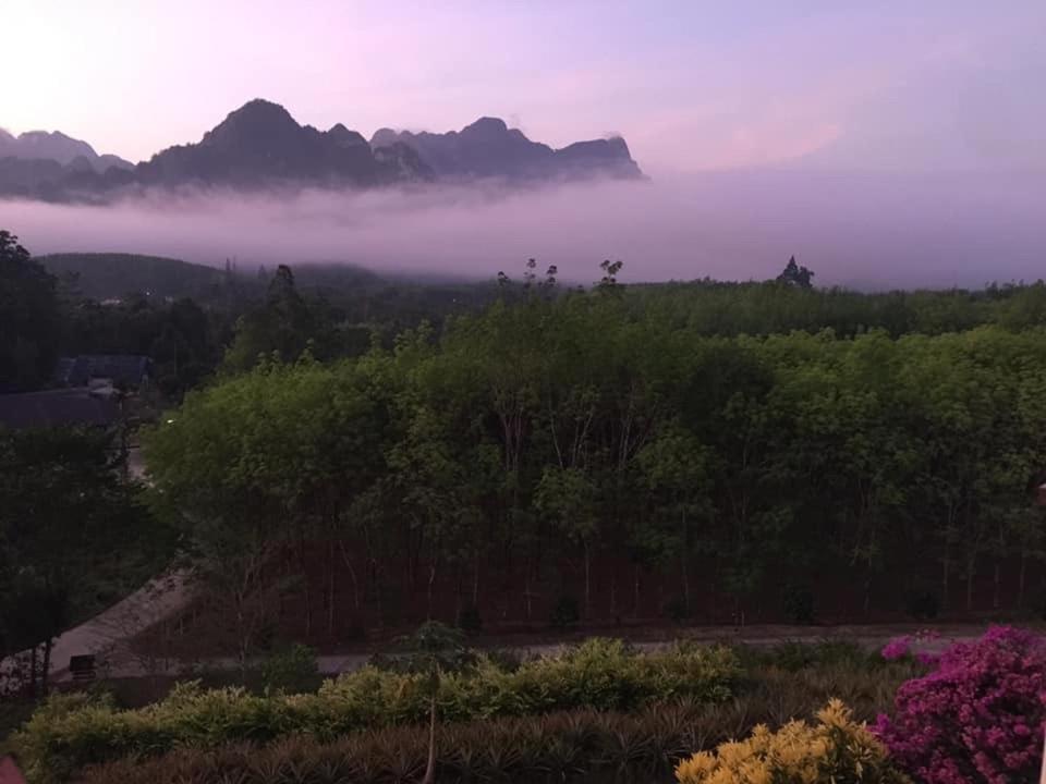Billion Views Khaosok Homestay Khao Sok National Park Dış mekan fotoğraf