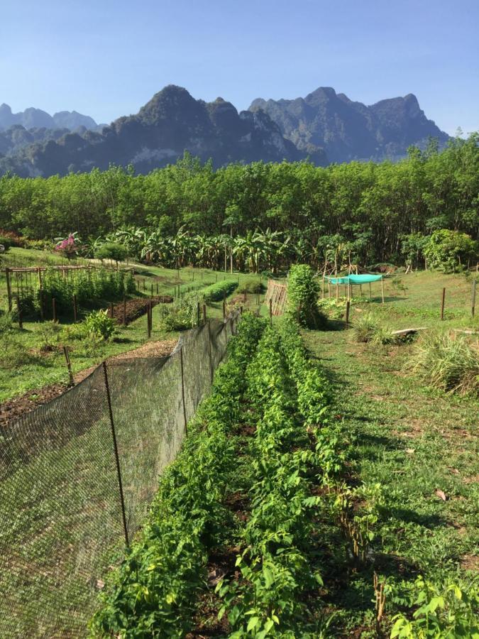 Billion Views Khaosok Homestay Khao Sok National Park Dış mekan fotoğraf