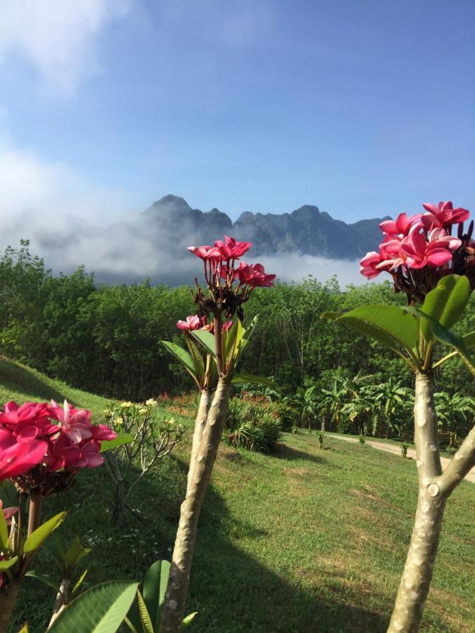 Billion Views Khaosok Homestay Khao Sok National Park Dış mekan fotoğraf